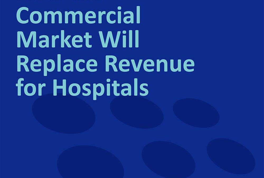 Applied Health Analytics Whitepaper How the Commercial Market Will Replace Revenue for Hospitals